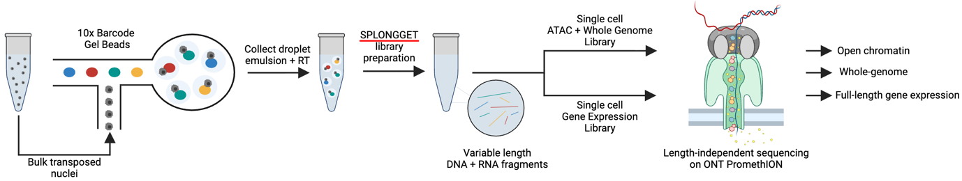 A diagram of a test tube

AI-generated content may be incorrect.